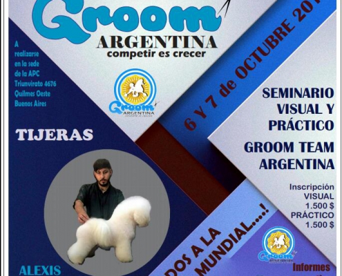 Groom Argentina 2019